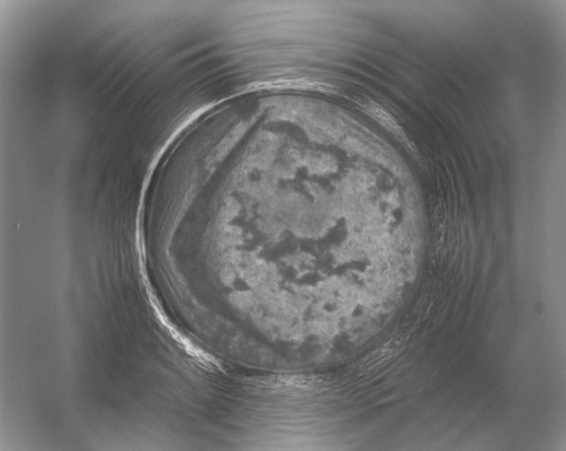 X0000054371084200508262335