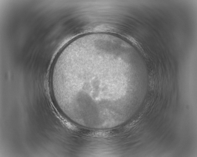 X0000054371086200508262335