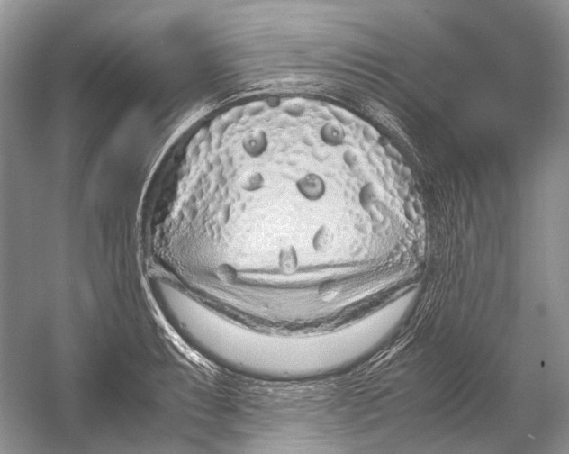 X0000054371087200508262335