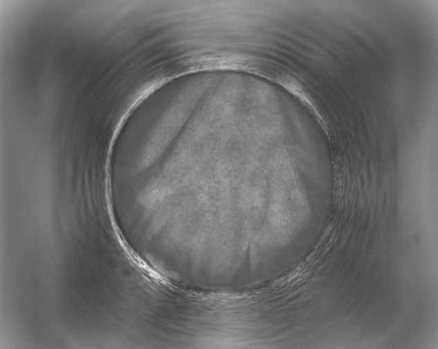 X0000054371088200508262335