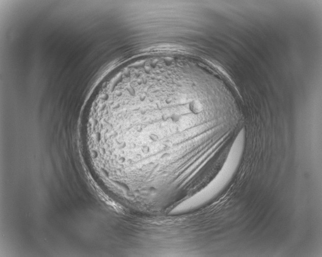 X0000054371091200508262335