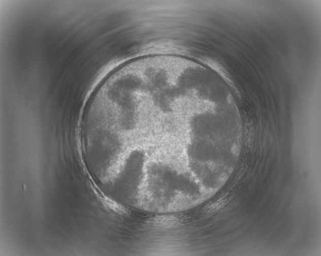 X0000054371094200508262335