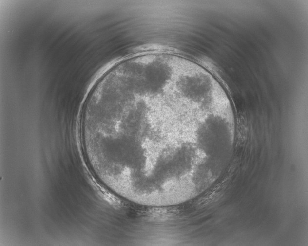 X0000054371098200508262335