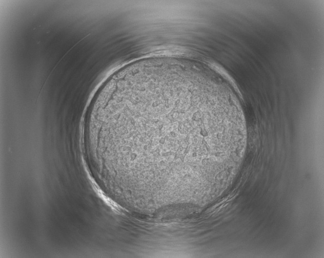 X0000054371099200508262335