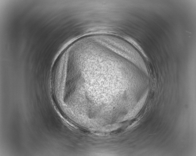 X0000054371101200508262334