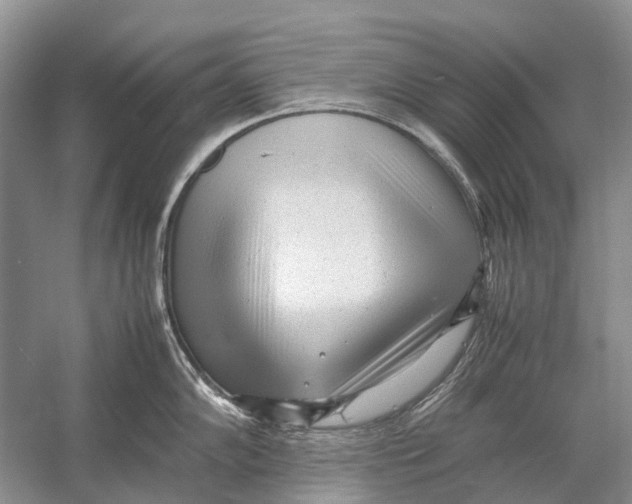 X0000054371102200508262334