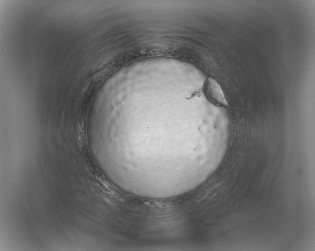 X0000054371109200508262334