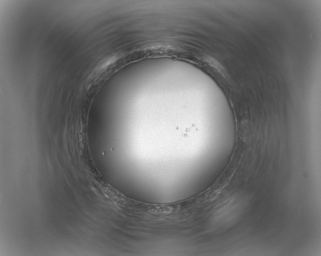 X0000054371111200508262334