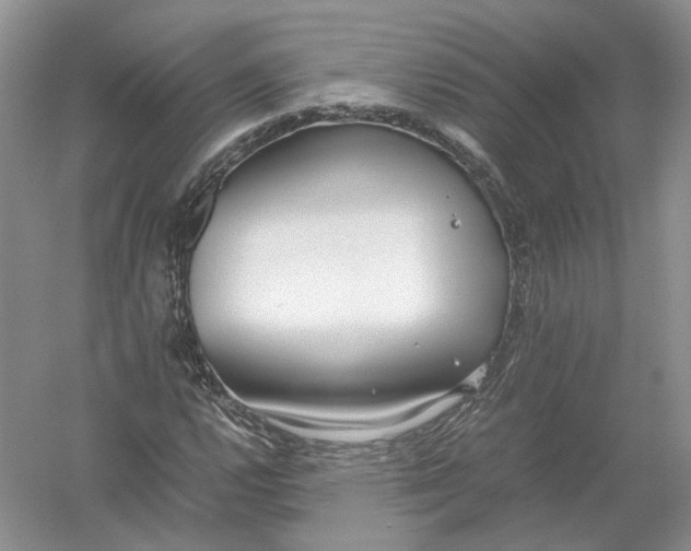 X0000054371112200508262334