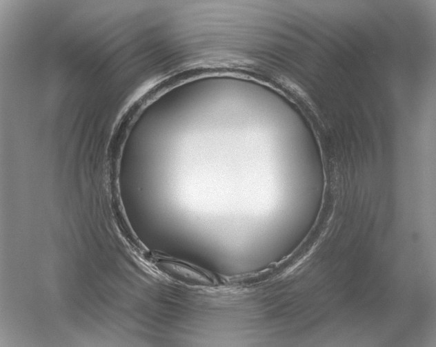 X0000054371114200508262334