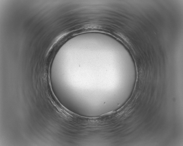 X0000054371115200508262334