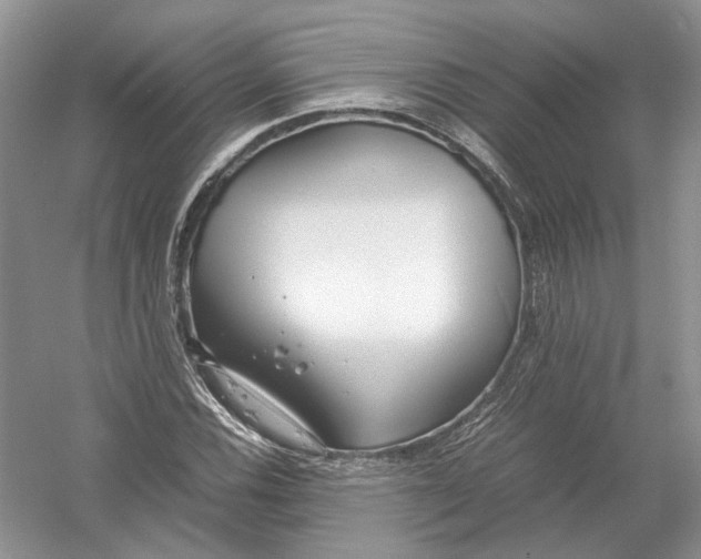 X0000054371116200508262334