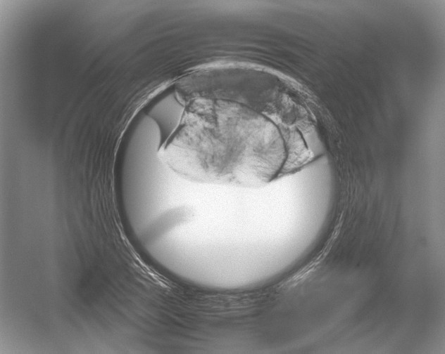 X0000054371121200508262334