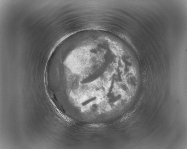 X0000054371125200508262334