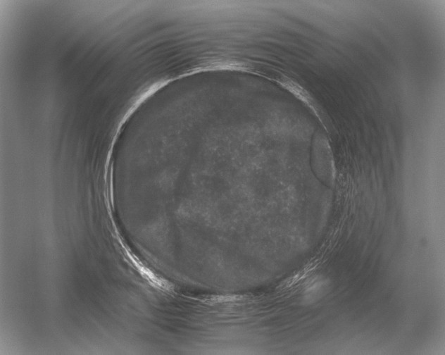 X0000054371127200508262334