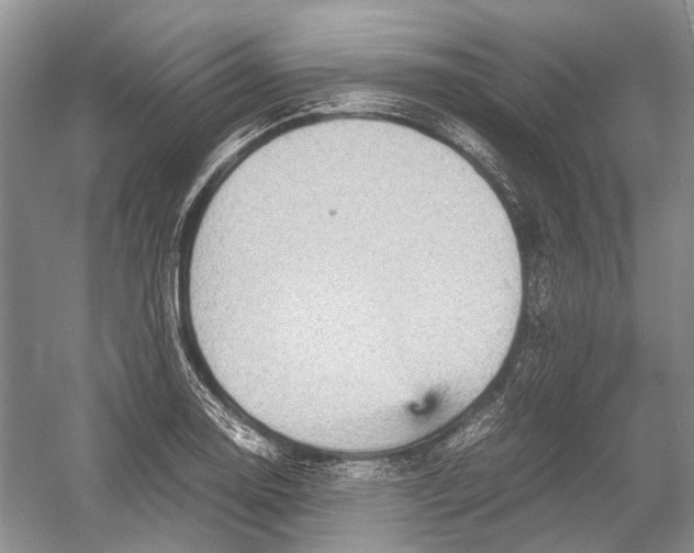 X0000054371130200508262334