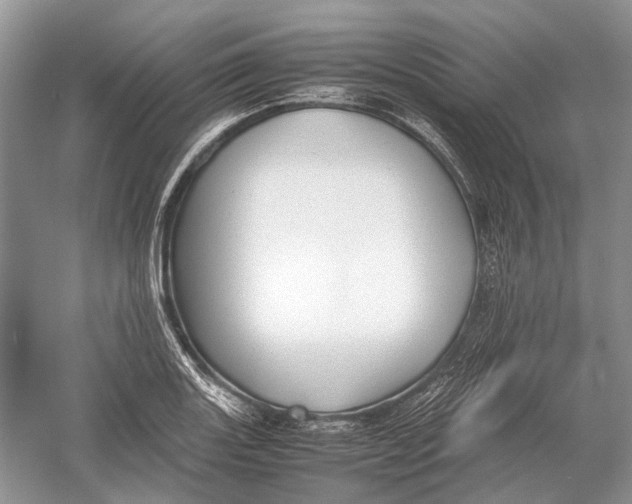 X0000054371131200508262334