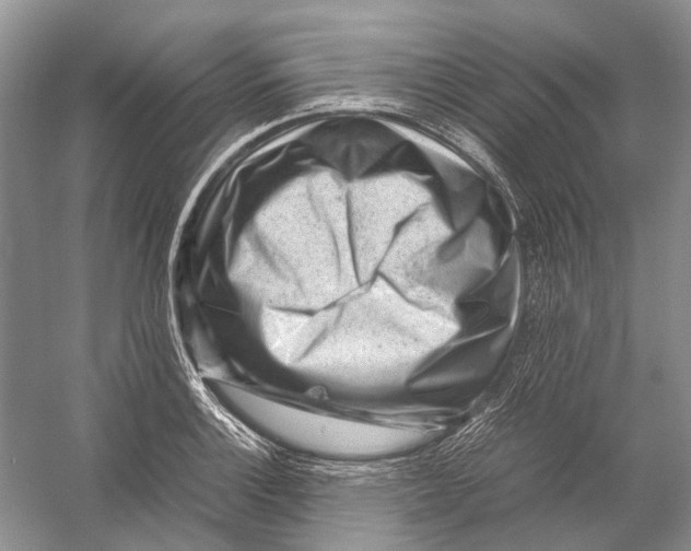 X0000054371132200508262334