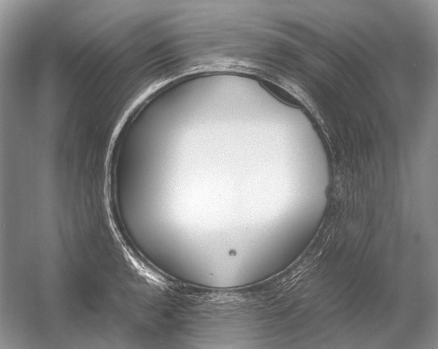 X0000054371136200508262334