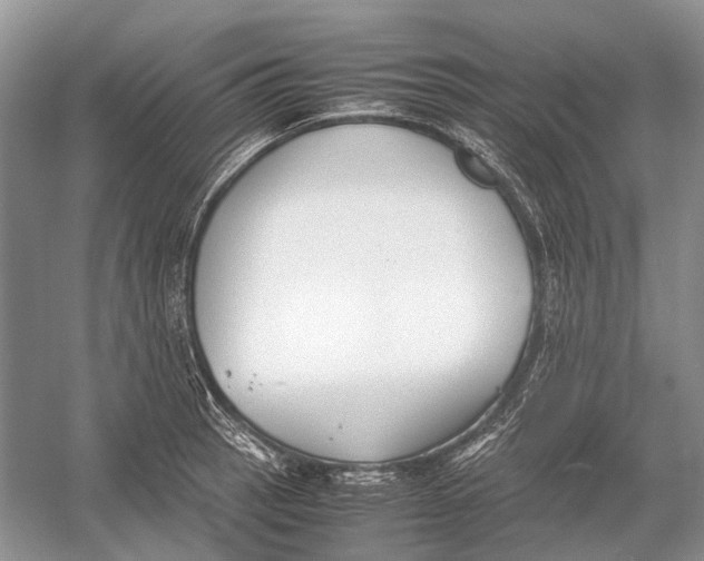 X0000054371137200508262334