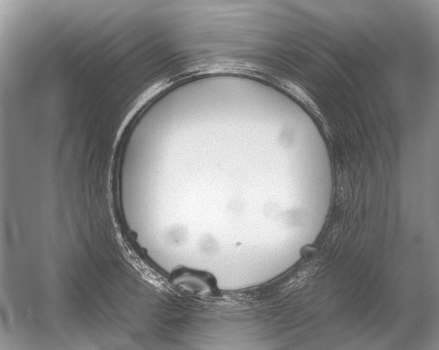 X0000054371138200508262334