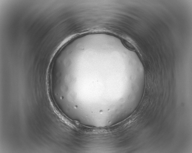 X0000054371142200508262334