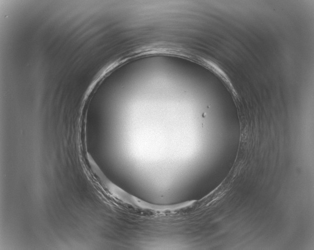 X0000054371146200508262334