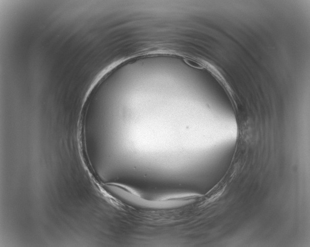 X0000054371149200508262334