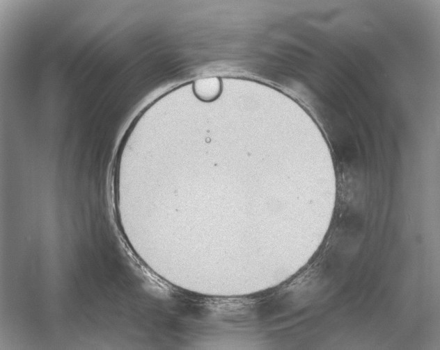 X0000054371150200508262334