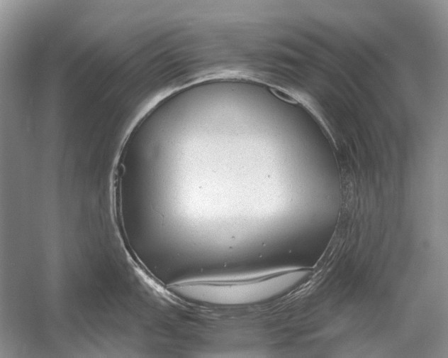 X0000054371151200508262334