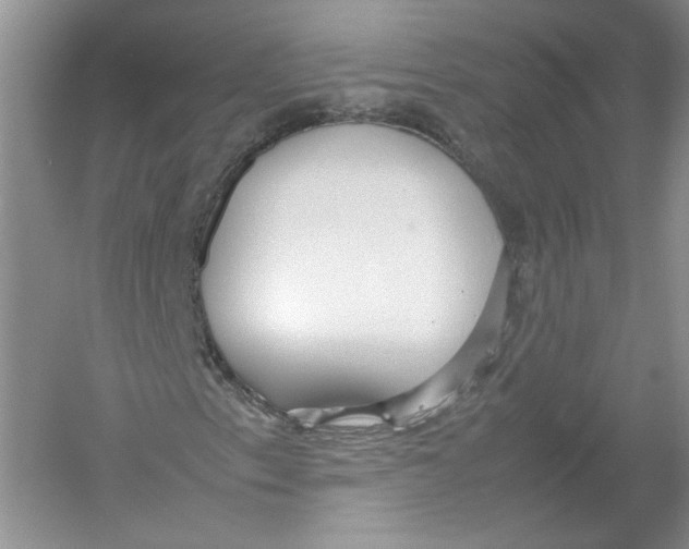 X0000054371153200508262334