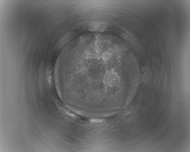 X0000054371154200508262334