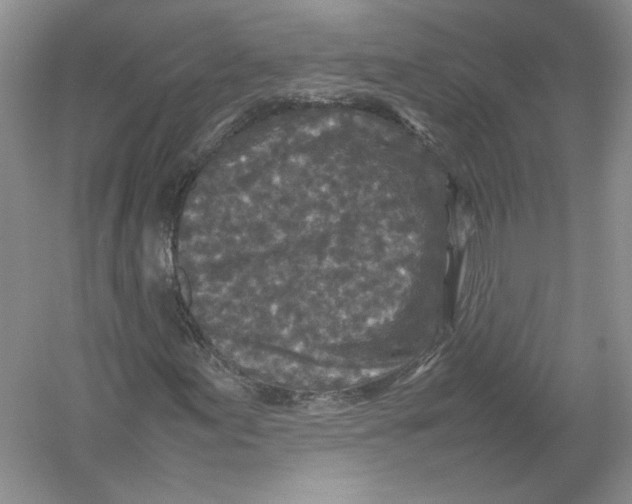 X0000054371155200508262334