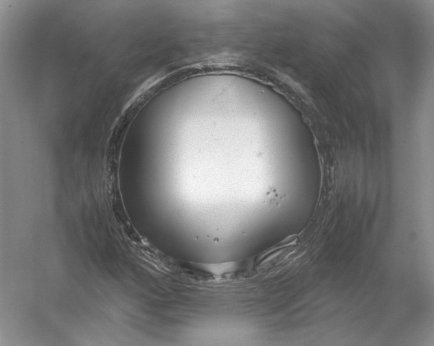 X0000054371160200508262333