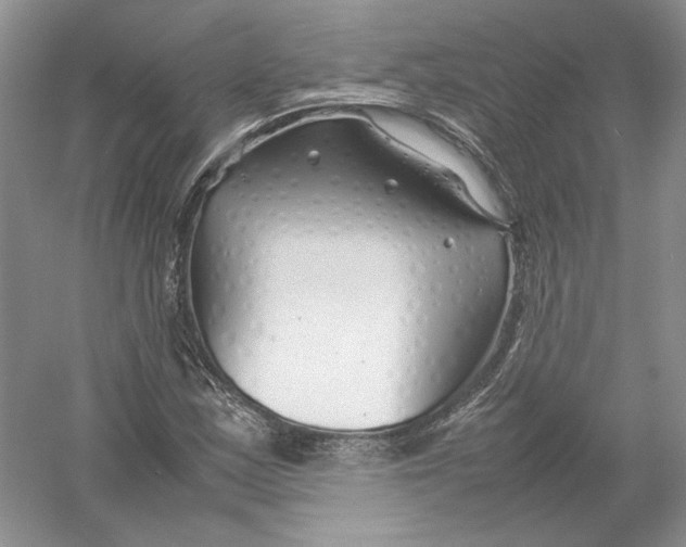 X0000054371163200508262333