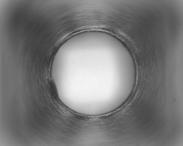 X0000054371169200508262333