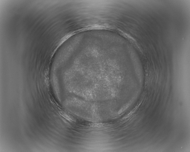 X0000054371170200508262333