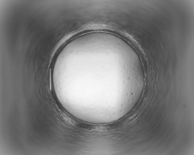 X0000054371175200508262333