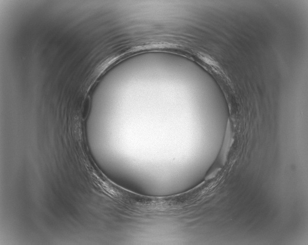 X0000054371177200508262333