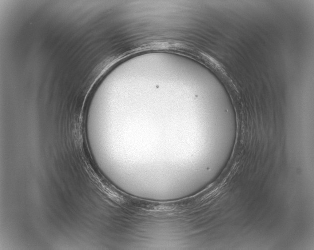 X0000054371178200508262333