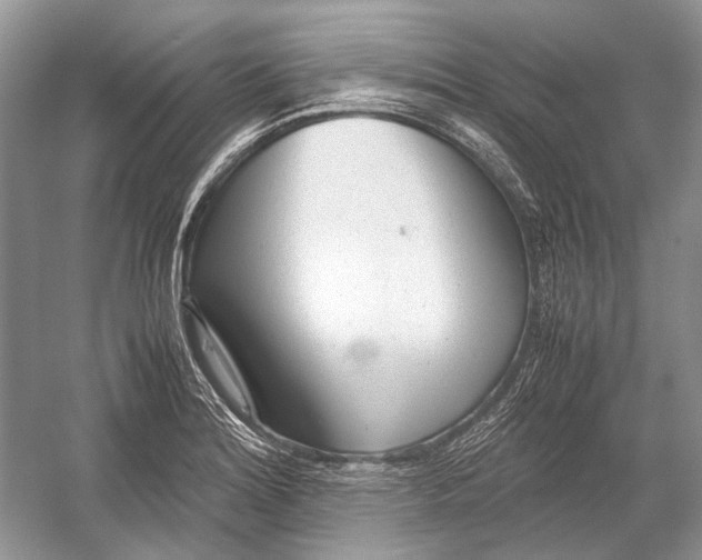 X0000054371180200508262333