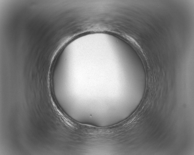 X0000054371183200508262333