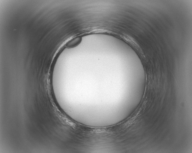 X0000054371190200508262333