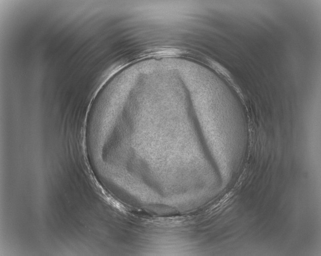 X0000054371194200508262333