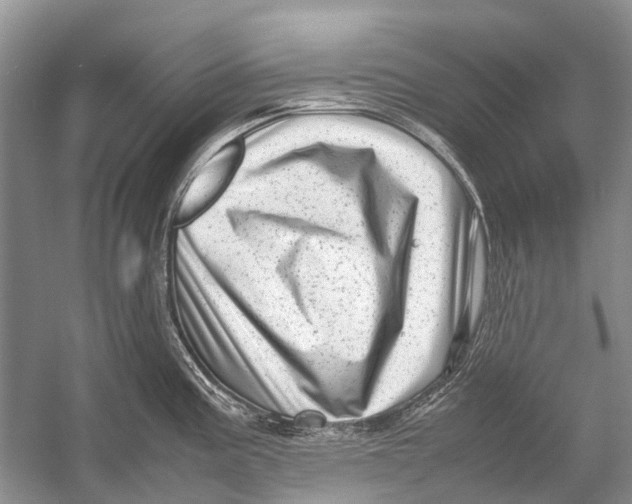 X0000054371195200508262333