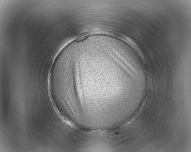 X0000054371198200508262333