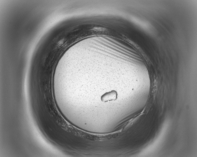 X0000054371199200508262333