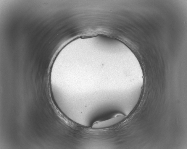 X0000054371200200508262333