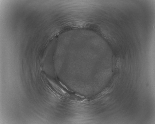 X0000054371202200508262332