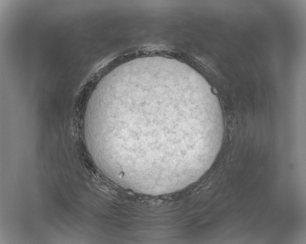 X0000054371207200508262332